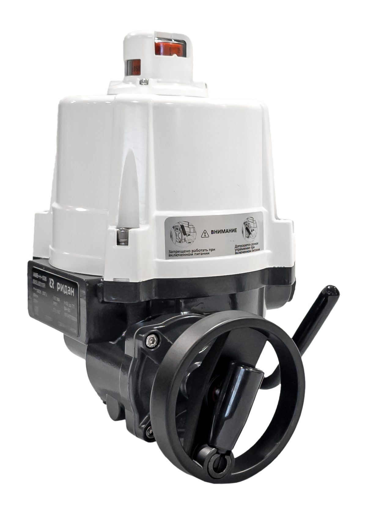 Ридан 065L8180R — Электропривод AMB-H-006 220В без блока управления; IP67; для шаровых кранов RJIP DN65 стандартный проход